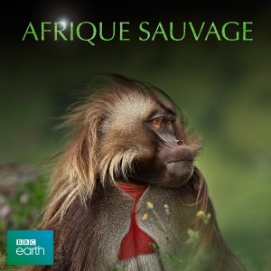 Africa, Afrique Sauvage - Episode 3