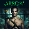 Arrow, Staffel 1 - Arrow