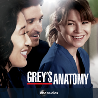 Grey's Anatomy - Grey's Anatomy, Staffel 10 artwork