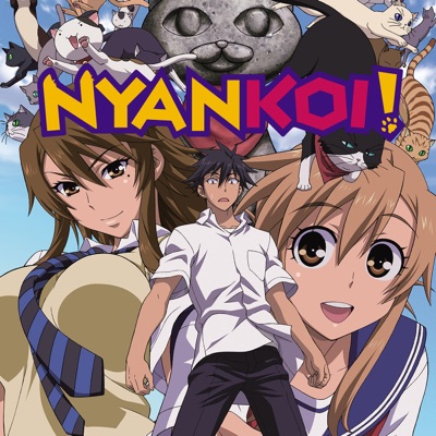 Nyan Koi!: Complete Collection [Blu-ray]: Amazon.ca: Films