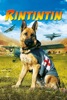 icone application Rintintin
