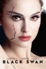 Vincent Cassel Black Swan (2010) Collection Thriller - 10 films