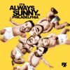 It's Always Sunny in Philadelphia, Season 5 - It's Always Sunny in Philadelphia