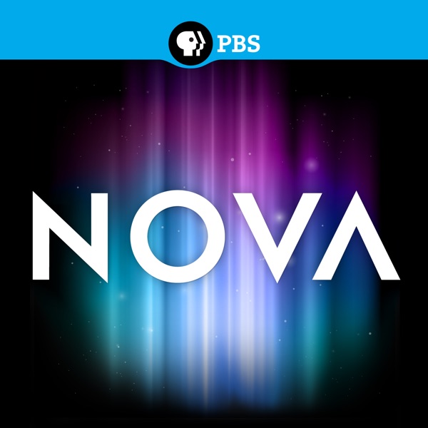 NOVA, Vol. 15