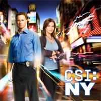CSI: NY, Season 8