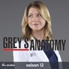 Tété  Grey's Anatomy, Saison 12 (VOST)