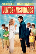 Capa do filme Juntos e Misturados