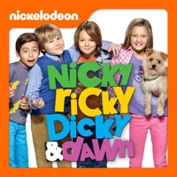 Nicky, Ricky, Dicky, & Dawn, Vol. 1
