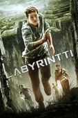 The Maze Runner