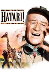 Hatari!