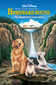 Homeward bound: De ongelofelijke reis