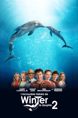mein freund der delfin 2 stream mein freund der delfin 2 stream