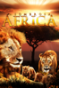Asombrosa África (Amazing Africa) - Timo Joh. Mayer & Benjamin Eicher