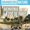 Zut Grandeurs nature : bienvenue au zoo de Paris Grandeurs nature : Bienvenue au zoo de Paris