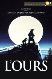 L'ours