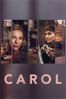 Carol - Todd Haynes