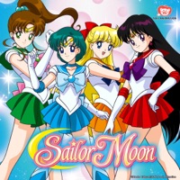 Télécharger Sailor Moon (English Dub), Season 1, Pt. 2 Episode 16