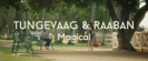 Magical - Tungevaag & Raaban