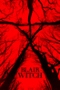 Blair Witch (2016) - Adam Wingard