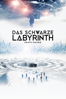 Das schwarze Labyrinth – Death Games - Francesco Cinquemani