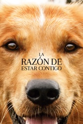 Poster for La razón de estar contigo by Lasse Hallström