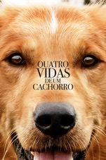 Capa do filme Quatro Vidas de um Cachorro