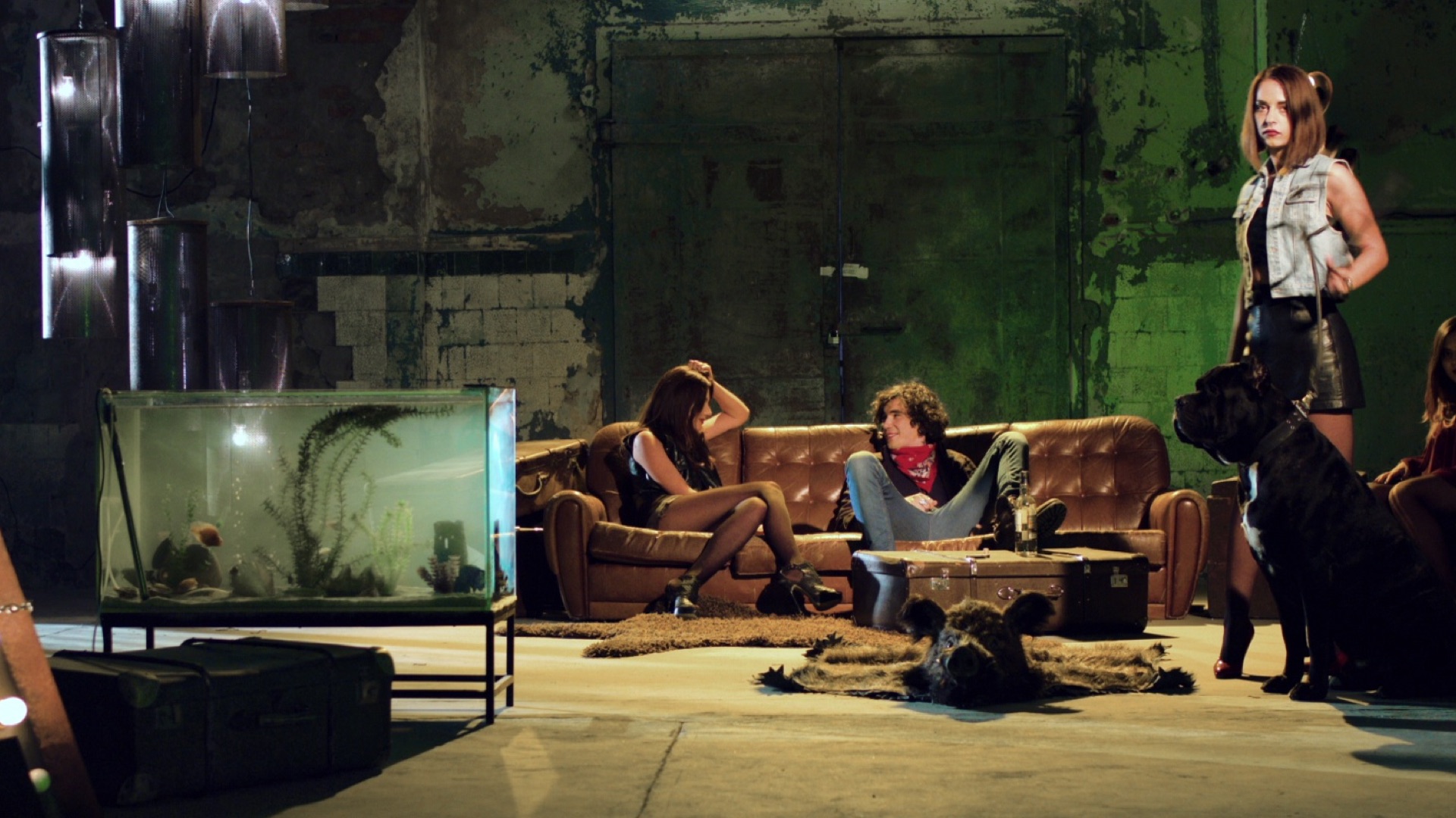 Epolets різдво