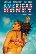 American Honey