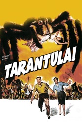 Tarantula