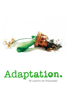 Adaptation: El ladrón de orquídeas - Spike Jonze