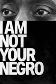 I Am Not Your Negro