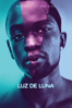 Moonlight - Barry Jenkins
