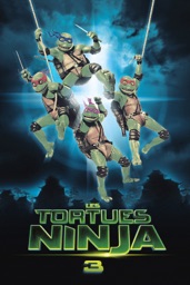 Les Tortues Ninja 3