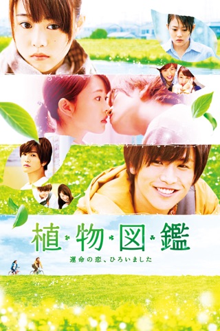 谷澤恵里香 Movies On Itunes