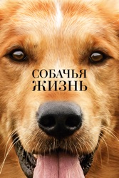 Собачья жизнь