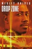 icone application Drop Zone