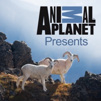 Animal Planet Presents, Vol. 1