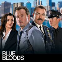 Blue Bloods - Blue Bloods, Season 4 artwork