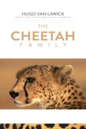 The Cheetah Family