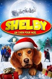 Shelby un chien pour Noël