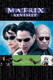 The Matrix: Revisited
