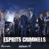 Esprits criminels