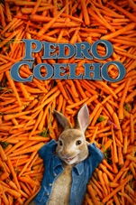 Capa do filme Pedro Coelho