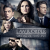 Law &amp; Order: SVU (Special Victims Unit), Season 18 - Law &amp; Order: SVU (Special Victims Unit) Cover Art