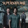 Supernatural, Saison 9 (VOST) - Supernatural