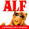 ALF