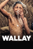 Wallay - Berni Goldblat