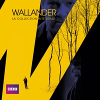 Télécharger Wallander, La collection intégrale (VF) Episode 12