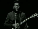 Got My Mojo Working - Muddy Waters