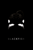 Blackfish